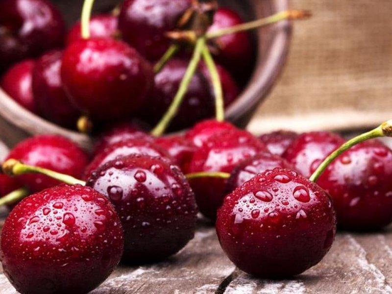 Вишня купить саженцы из питомника в Шали